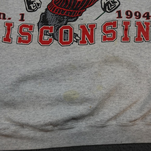 Vintage Wisconsin Badgers Sweatshirt Mens XL Gray Rose Bowl Galt Sand 90s - Picture 3 of 12